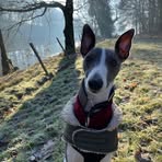 Joseph Harrison - Facebook