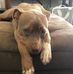 Joseph Hassell Jr. - Facebook