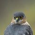 Joseph Hawk - Facebook