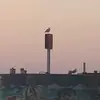 Josephz - @josephhawk3000 - TikTok