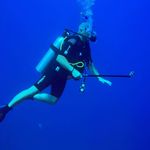 Joseph Hector - @joseph.hector.10 - Instagram
