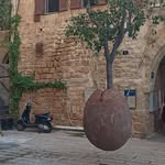 Joseph Heilman - @heilman3503 - Instagram