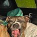 Joseph Hepler - Facebook