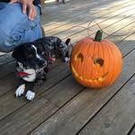 Titan Joseph Hershey - @midert - Instagram