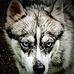 Joe Highfill - Facebook