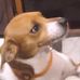 Joseph Highfill - Facebook