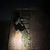 Joseph Hoff - @joseph.hoff3 - TikTok