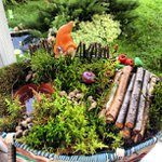 Joseph Hogge - @eattrimble2cool - Instagram