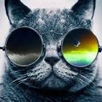 joseph holzman - @joeythehammer26 - Instagram
