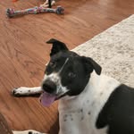 Joseph Hook - @josephhook413 - Instagram