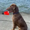 joseph.hover - @joseph.hover - TikTok