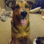 Joseph Huling - @joseph.huling.7 - Instagram