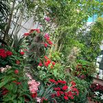 Joseph Hulings - @hulingsjoseph - Instagram