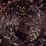 Joseph Iles - Facebook