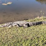 Joseph Irons - @jirons458 - Instagram