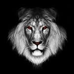 Joseph Isley - @joseph.isley.50 - Instagram