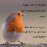 Joseph Javier - @joseph.javier.96199 - Instagram