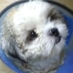 Joseph Javier - @josephjavier50 - Instagram