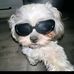 Joseph Javier - Facebook