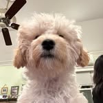 Joseph Jee - @ohmjee - Instagram
