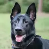Joseph Jefferies - @joseph.jefferies - TikTok