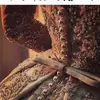 Joseph_Julius - @Joseph_Julius - TikTok