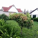 joseph justus challe - @josephchalle55 - Instagram
