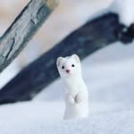 Joseph Kang - @rkddytpq5 - Instagram