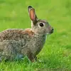 JOSEPH KANGETHE - @joseph.kangethe56 - TikTok