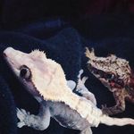 Joseph - @joseph.katch - Instagram
