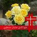 Joseph Khalil - Facebook