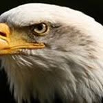Joseph Jeff Kiese - @josephkiese - Instagram