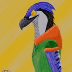 Joseph Kipp - Facebook