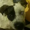 joseph.klee420 - @joseph.klee420 - TikTok