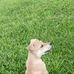Joseph Kupul - Facebook