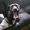 Joseph_kos - @joseph_kos - TikTok