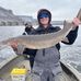 Joe Krause - Facebook