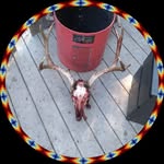 Joseph Krause - @joseph.krause.399 - Instagram