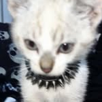Joseph Krause - @_joseph_krause - Instagram