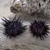 josephkuo62 - @josephkuo62 - TikTok