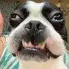 joseph_laberge - @joseph_laberge - TikTok
