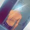 josephlabrecque1 - @207demonbby - TikTok