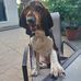 Joseph Laforest - Facebook