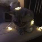 Lagrange - @joseph_louis.lagrange - Instagram