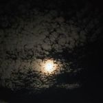 Joseph Lahey - @josephlahey13 - Instagram
