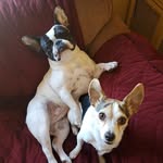 Joseph Lahey - @jlprint024 - Instagram
