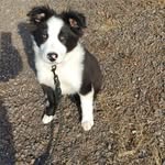 Joseph Lahey - @pearljam_is_cool12 - Instagram