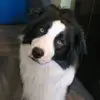 Joseph lahey - @joseph.lahey16 - TikTok