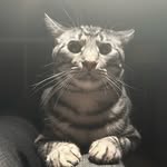 JosephLamsonn - @josephlam6676 - Instagram