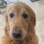 JL - @joseph_lapidot - Instagram